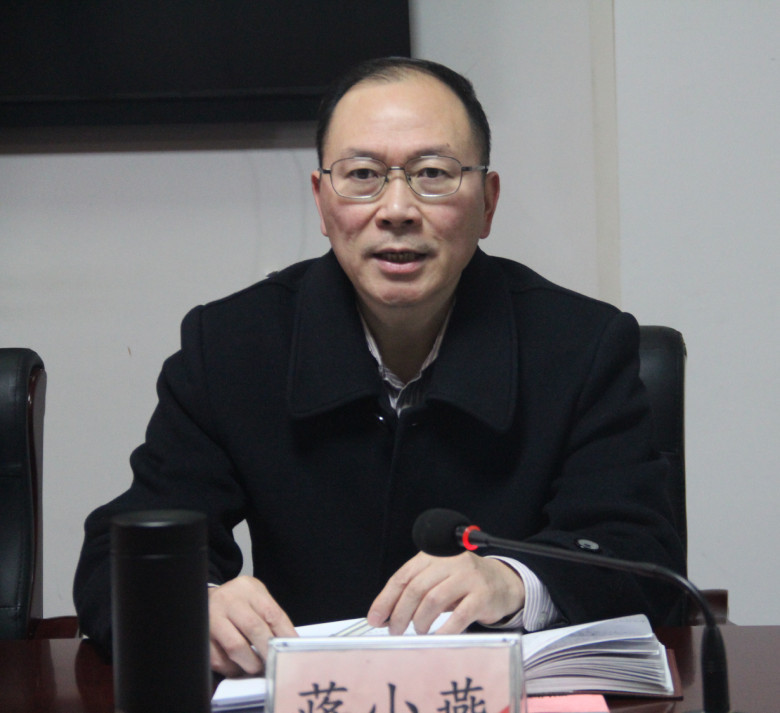 中心党委书记蒋小燕.jpg